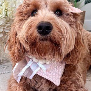 Cottage Phebes | White Necklace